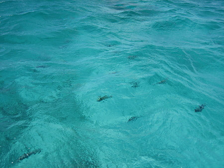 Blick ins Wasser Fotos