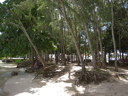 Foto Strand von Grand Baie