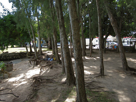 Strand von Grand Baie Foto 