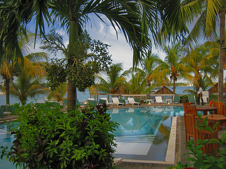 Foto Pool mit Palmen