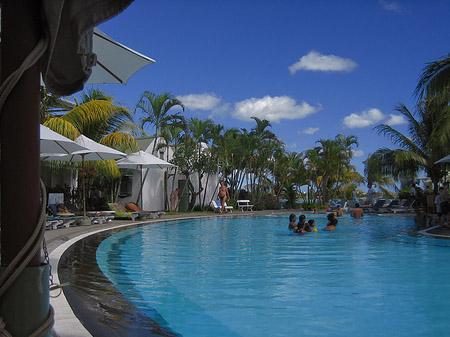 Pool mit Palmen Foto 