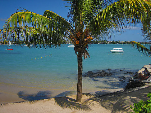 Foto Palmen am Strand